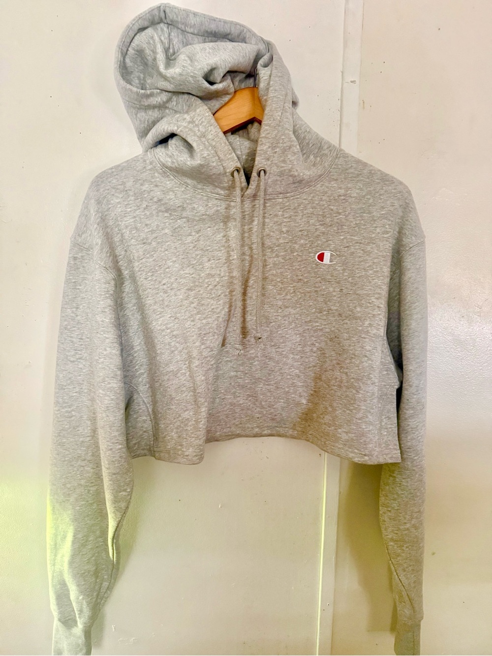 Champion Gray Cropped Crewneck Hoodie Sweatshirt